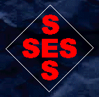 Security Engineering Services Logo